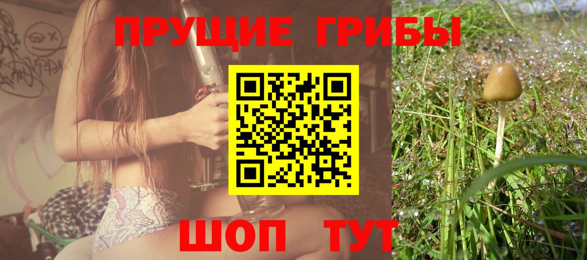 Галлюциногенные грибы мухоморы  где купить наркотик  Торжок  Вход с VPN  Псилоцибиновые грибы мухоморы 